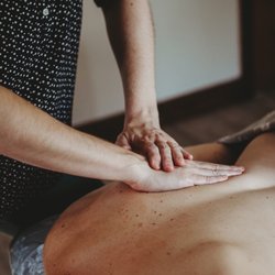 Branch to Root Wellness Center