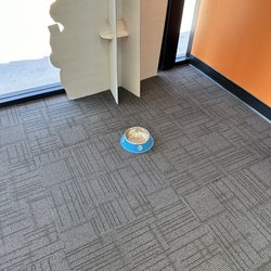 AT&T Store - Dog bowl