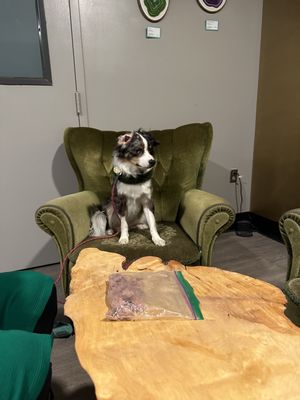 Ravens Ring Brewing Company by null