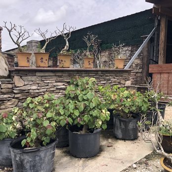 Living Sculpture Sanctuary - Venues & Event Spaces Near Me - Davie, Florida