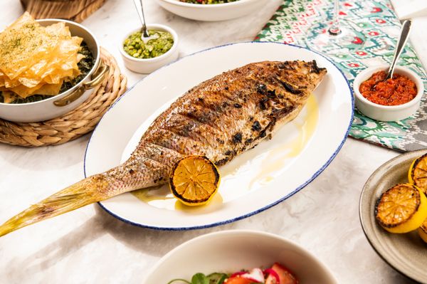 Meet Dalia - Mediterranean restaurant in Miami Beach by null