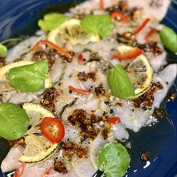 Sturgeon Crudo