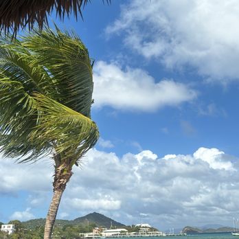 Margaritaville - American Near Me - St. Thomas, Virgin Islands