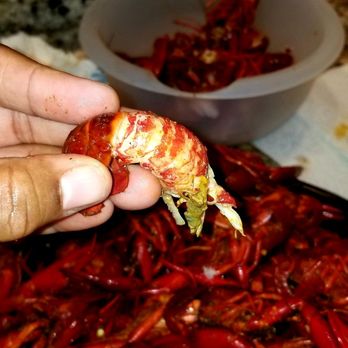 Crawfish Shack - Huge crawfish tail! - Cajun/Creole Near Me - Crosby, Texas Crawfish Shack - Huge crawfish tail! - Cajun/Creole Near Me - Crosby, Texas