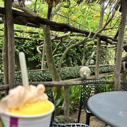 I Giardini di Cataldo - Orange and melon sorbet.