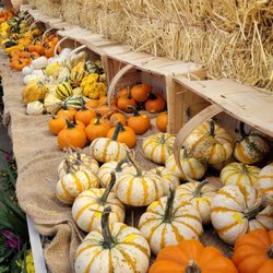 Confreda Greenhouses & Farms