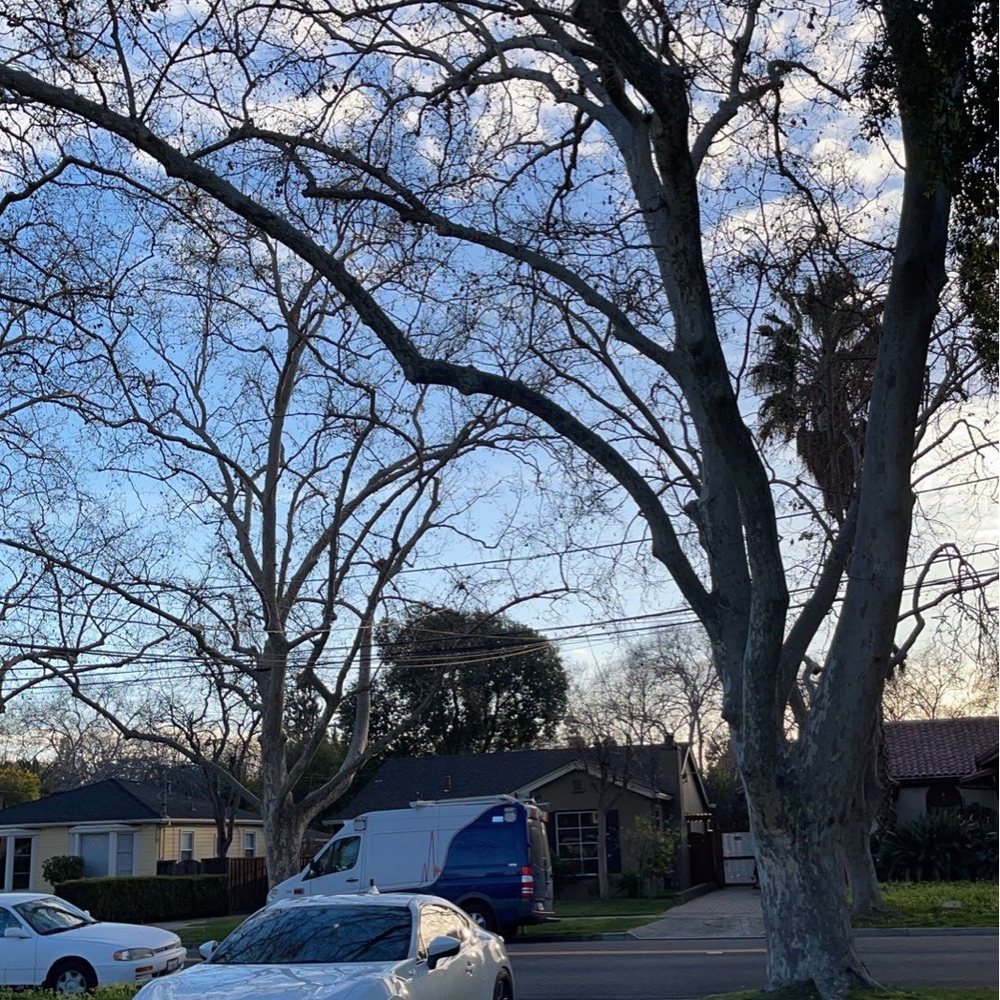 Aligntechs - Tires Near Me - San Jose, California