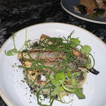The Shed - British Near Me - London, XGL The Shed - British Near Me - London, XGL