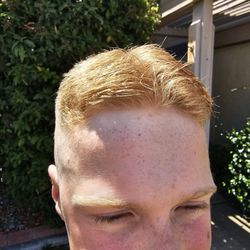Ted's Barber Shop