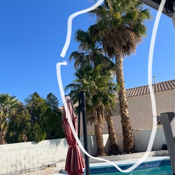 Treepro - Before - Tree Services Near Me - Las Vegas, Nevada Treepro - Before - Tree Services Near Me - Las Vegas, Nevada