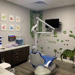 Palm Tree Dentistry - New Port Richey