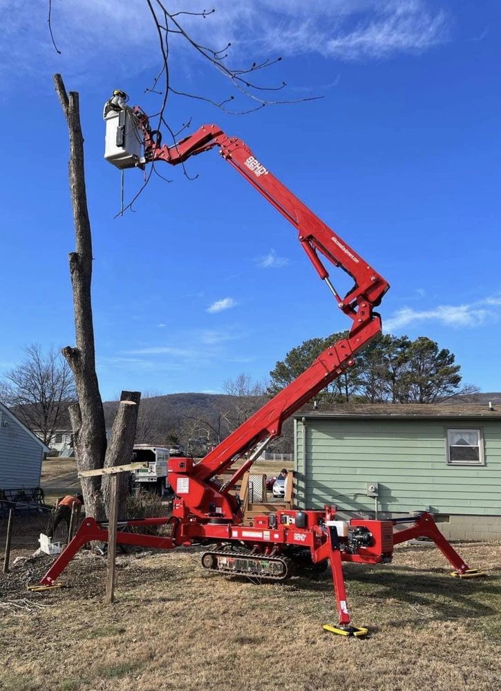 Treeman - tree service in Buffalo, NY