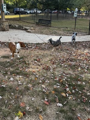 Freedom Barkway Dog Park by null