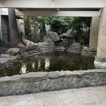 Coco Palm Restaurant - Ponds - Cuban Near Me - Pomona, California Coco Palm Restaurant - Ponds - Cuban Near Me - Pomona, California