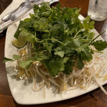 Pho Quyen - Cilantro and bean sprouts - Vietnamese Near Me - Tampa, Florida Pho Quyen - Cilantro and bean sprouts - Vietnamese Near Me - Tampa, Florida