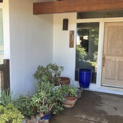 Terrell Painting - Fresh house paint!