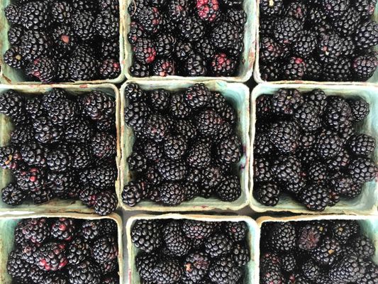 Decatur Farmers Market by null