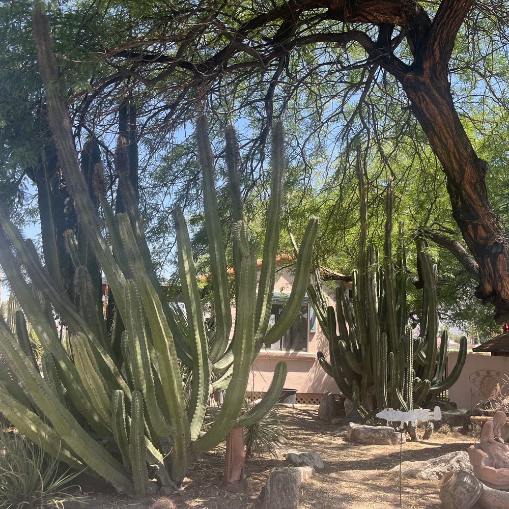 B & B Cactus Farm - Nurseries & Gardening Near Me - Tucson, Arizona B & B Cactus Farm - Nurseries & Gardening Near Me - Tucson, Arizona