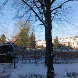 Britz - Britz im Januar 2024
