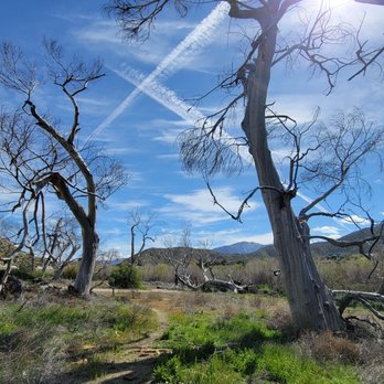 Indian Canyon - Hiking Near Me - Acton, California