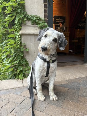 The Harriet Brasserie by null The Harriet Brasserie by null