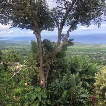 The Coffee Shack - Coffee & Tea Near Me - Captain Cook, Hawaii