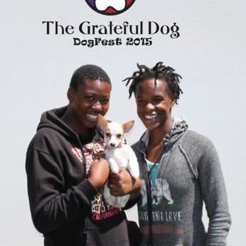 The Grateful Dog - Pet Training Near Me - San Francisco, California The Grateful Dog - Pet Training Near Me - San Francisco, California