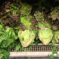 King Soopers - All the "fresh" leafy veggies were drowned in water, had that nasty pink goo on it, and was wilted.