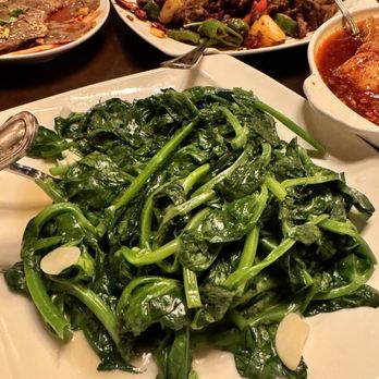 Han Dynasty - Szechuan Near Me - Brooklyn, New York Han Dynasty - Szechuan Near Me - Brooklyn, New York