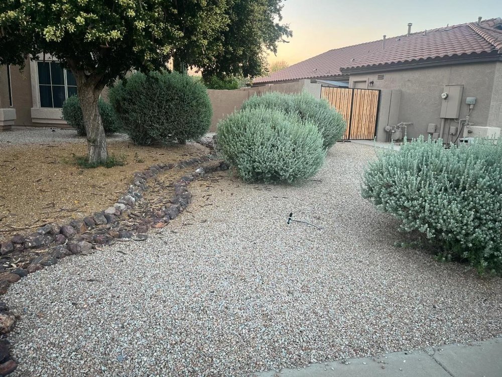 Zenith Landscaping AZ finished backyard with modern hardscape