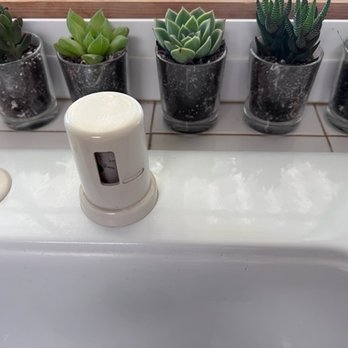 OC Succulents - Nurseries & Gardening Near Me - Irvine, California OC Succulents - Nurseries & Gardening Near Me - Irvine, California