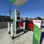 Photo of Shell