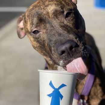 Dutch Bros Coffee - Coffee & Tea Near Me - Dixon, California