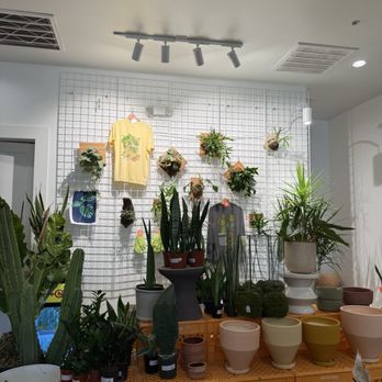 The Flora Culture - Interior - Floral Designers Near Me - Houston, Texas The Flora Culture - Interior - Floral Designers Near Me - Houston, Texas