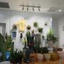 Photo of The Flora Culture