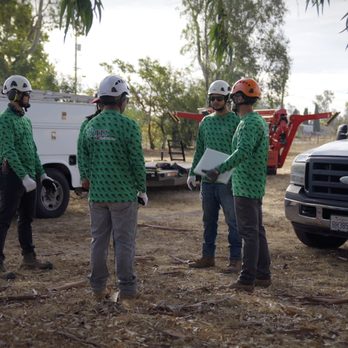 TLC Tree & Landscape Care - Tree Services Near Me TLC Tree & Landscape Care - Tree Services Near Me