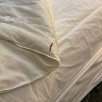 SpringHill Suites by Marriott Corona Riverside - Blood stains - Venues & Event Spaces Near Me - Corona, California