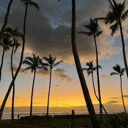 Can't beat location for sunrise runs/walks.