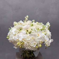 Vase of white flowers $200