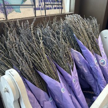 Luling Lavender Fields - Home Decor Near Me - Luling, Texas