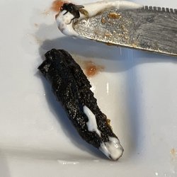 Maggie McFly's - Found in our nachos