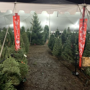 Thee Christmas Tree Company - Quality trees - Christmas Trees Near Me - Chino, California Thee Christmas Tree Company - Quality trees - Christmas Trees Near Me - Chino, California