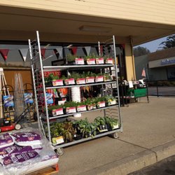 Ace Hardware Prunedale