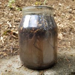 You can see all the dirt at the bottom.