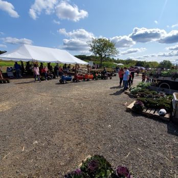 Hausman's Fruit Farm - a large group of people - Farms Near Me - Coopersburg, Pennsylvania Hausman's Fruit Farm - a large group of people - Farms Near Me - Coopersburg, Pennsylvania