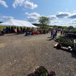 Hausman's Fruit Farm
