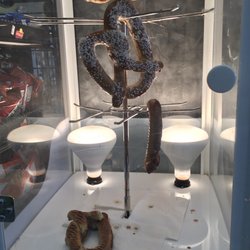 Q Stop II - "Fresh" bread pretzels were old looking and broken.