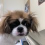 Photo of Community Veterinary Center