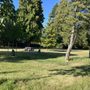Photo of Lewarne Park