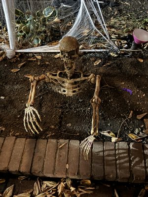 Spellbound Tours by null